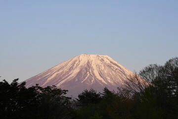 日本の山梨県　富士山麓の公園から夕焼けの富士山を眺める