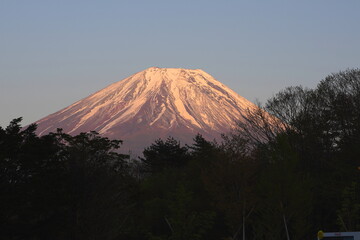 日本の山梨県　富士山麓の公園から夕焼けの富士山を眺める