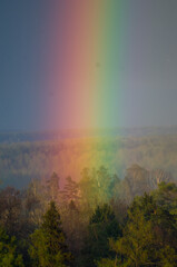 Naklejka premium rainbow in the mountains