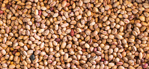 Background of many grains of dried beans. Close up. Panoramic view