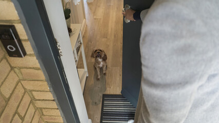 Dog barking at man opening door