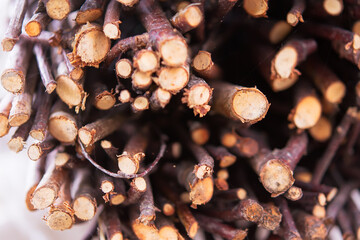 close up a bunch of brushwood, thin dry twigs for kindling a fire