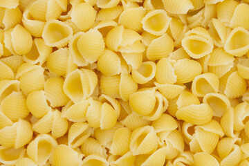 Small cooked shell pasta background