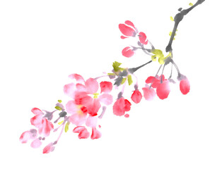 水墨画技法で描いた桜の枝