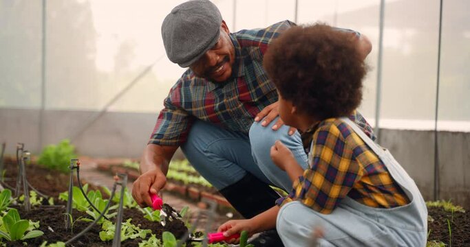 African dad and son planting garden together in the spring in nursery. Family planting tree and flowers in a nursery at backyard. Little boy and his father gardening in spring
