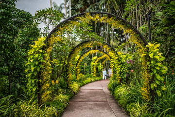 walkway in the botanic garden