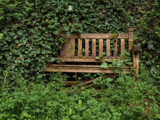 With family much more mobile it is often hard to maintain memorials like benches which get overgrown and neglected, covered in ivy and weeds