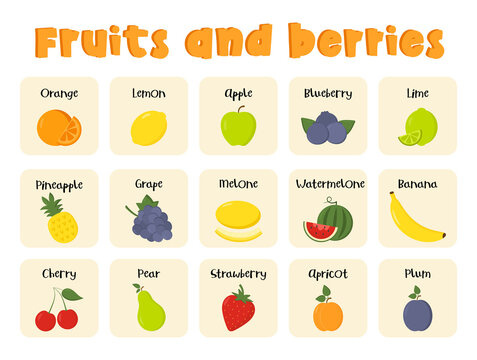 Flashcards for kids with inscription title of fruits and berries. Kids preschool playing, learning activity. Educational cards for the development of logical thinking. Worksheet for preschoolers.