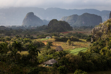 Obraz premium Beautiful Vinales Valley with palm trees and fog. Amazing green landscape of Cuba