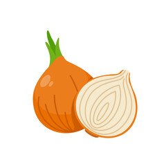 Onion vector. raw materials for cooking