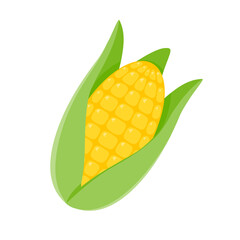 Green husks of yellow corn are used as a food ingredient.