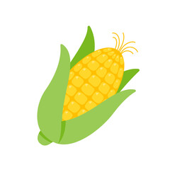Green husks of yellow corn are used as a food ingredient.