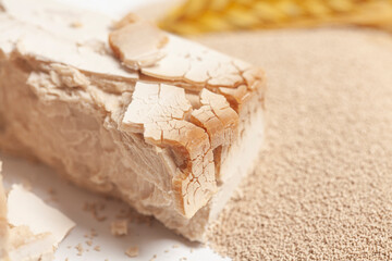 Fresh and dry yeast with wheat ear.Baking concept