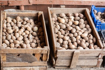 Wooden boxes with potatoes. Stand on the street. In the yard, planted or for sale