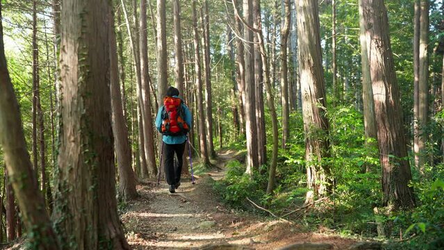 登山をする若い男性　スポーツイメージ