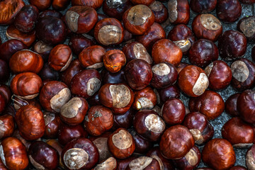 Top view heap of chestnuts. Pile of ripe chestnuts for food background.