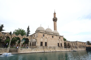 Naklejka premium Pool of abraham known as balikligol in Sanliurfa province of Turkey