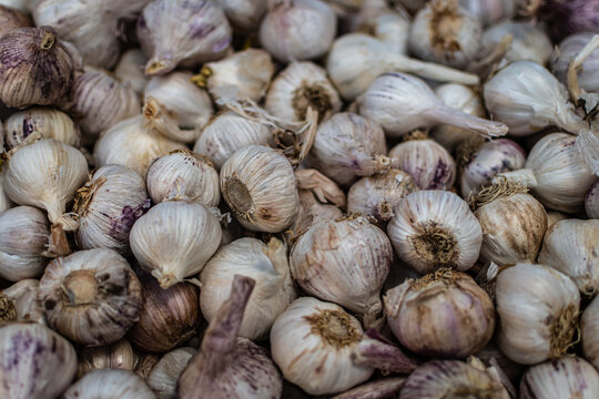 White garlic pile texture. Fresh garlic on market table closeup photo. Vitamin healthy food spice image. Spicy cooking ingredient picture. Pile of white garlic heads. White garlic head heap top view