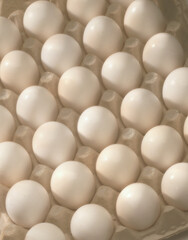 Eggs in the box closeup
