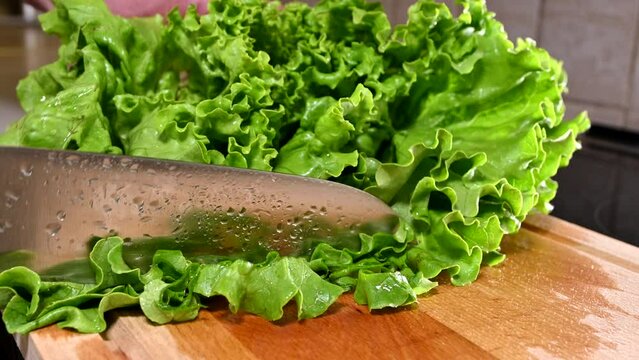 man with chef's knife cutting lettuce on wooden board