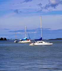 Obraz premium Sailing boats moored in front of Dunedin, Florida