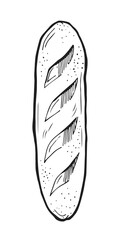 Traditional regular loaf. Traditional banana. White bread. Hand drawing outline. Isolated on white background. Monochrome drawing. Vector