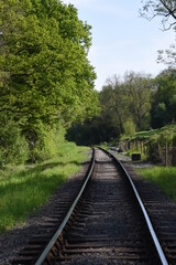 Fototapeta premium old railway track going though the forest