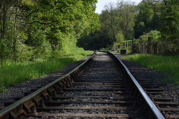 Fototapeta premium old railway track going though the forest