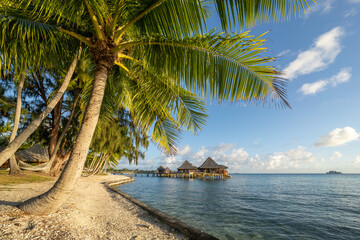 Fototapeta na wymiar Summer vacation on a tropical island in the South Seas, French Polynesia