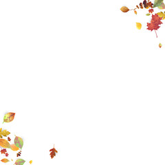 Leaves Falling Autumn Foliage Chaotic Leaf Flying