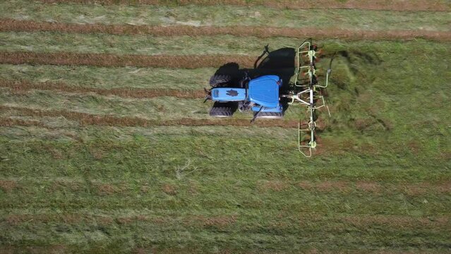Raking hay with a double wheel rake tractor  on a sunny day aerial view

