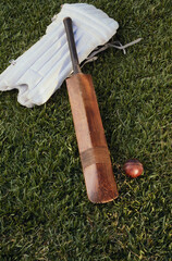 Cricket ball and bat
