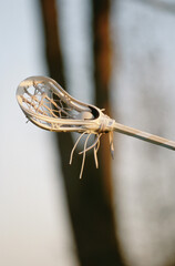 Lacrosse stick
