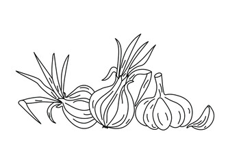 Vegetable set, onion and garlic  in doodle style. Vitamin , Natural vegetarian food. Vector monochrome illustration isolated on background.