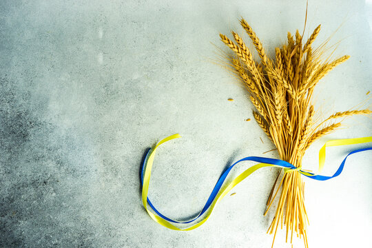 Bunch of wheat tied with blue and yellow ribbons to symbolise Ukrainian solidarity