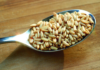 sesame seeds in spoon