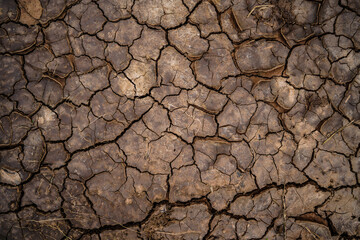 The global shortage of water on the planet. Global warming and greenhouse effect concept