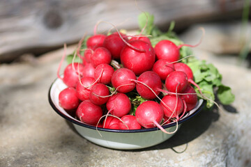 Fresh red radish in a bowl, natural food.