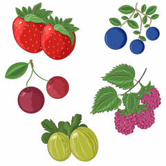 set of various garden berries