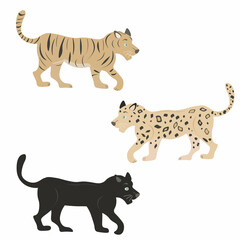 set of various wild cats