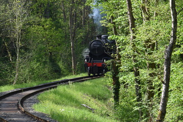 an Ivatt class 4 steam locomotive traveling through an English forest