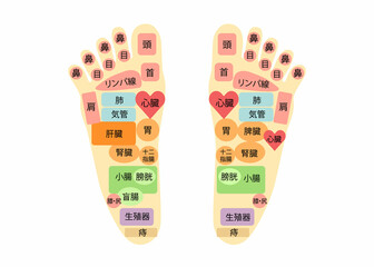 足裏　足つぼ　説明図