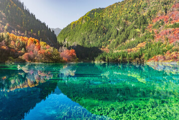 Five Flower Lake at autumn time. Jiuzhaigou nature reserve. Jiuzhai Valley National Park.