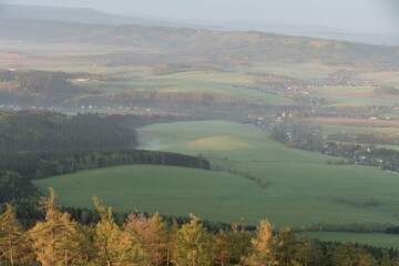 forest natural landscape of northern bohemia