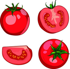 Hand-drawn colorful red tomato. A set of sketches with sliced tomatoes, a slice of tomato and a branch of tomatoes. The vector illustration is isolated on a white background.