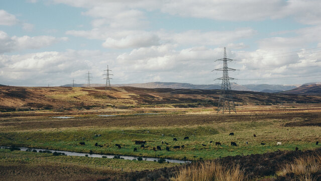 power lines in the field