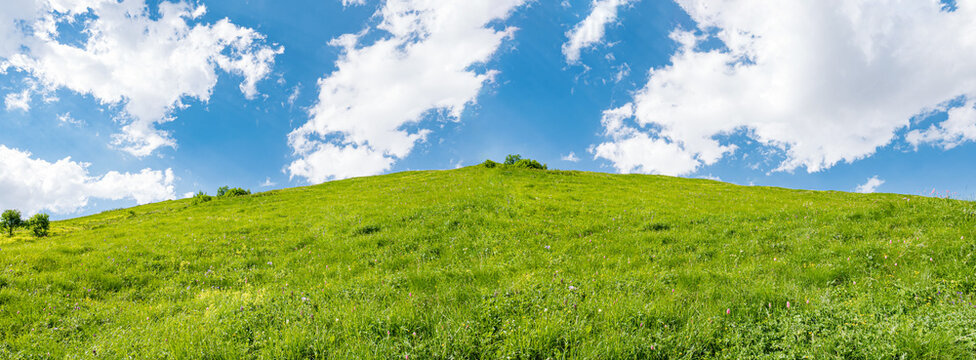 Idyllic landscape with blue sky and fresh green meadows