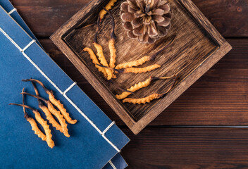 Photography of cordyceps sinensis, a nourishing Chinese herb © 大 李