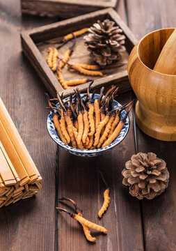 Photography of cordyceps sinensis, a nourishing Chinese herb