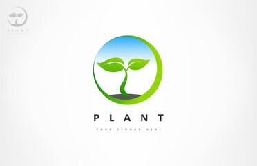 The plant logo. Leaves vector design.